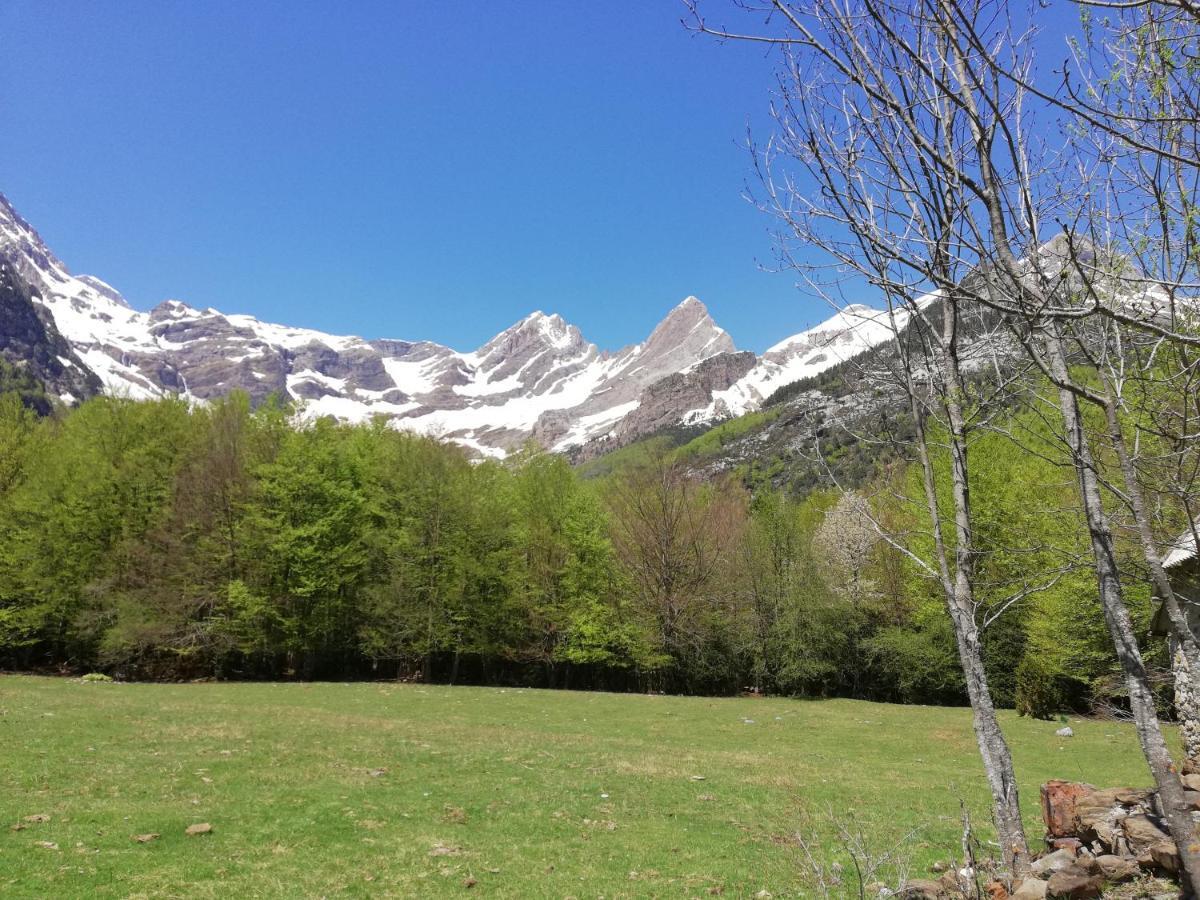 Apartamento El Fenal De Turmo Casa Rural "El Capricho De Nieves" Laspuña Εξωτερικό φωτογραφία